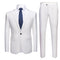 Casual Wedding Suit for Guests