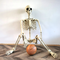 GhoulGuard | Life-size 170 cm Halloween skeleton - movable garden decoration for a haunted and spooky house and garden