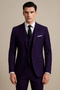 3-piece men's suit costume, purple - Classic Autumn Set